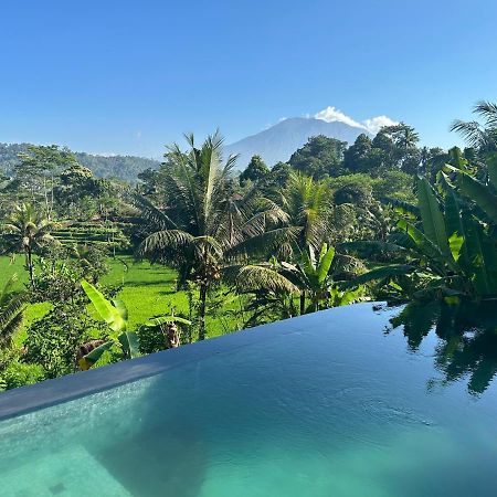 Nana Suites Villa Sidemen  Dış mekan fotoğraf
